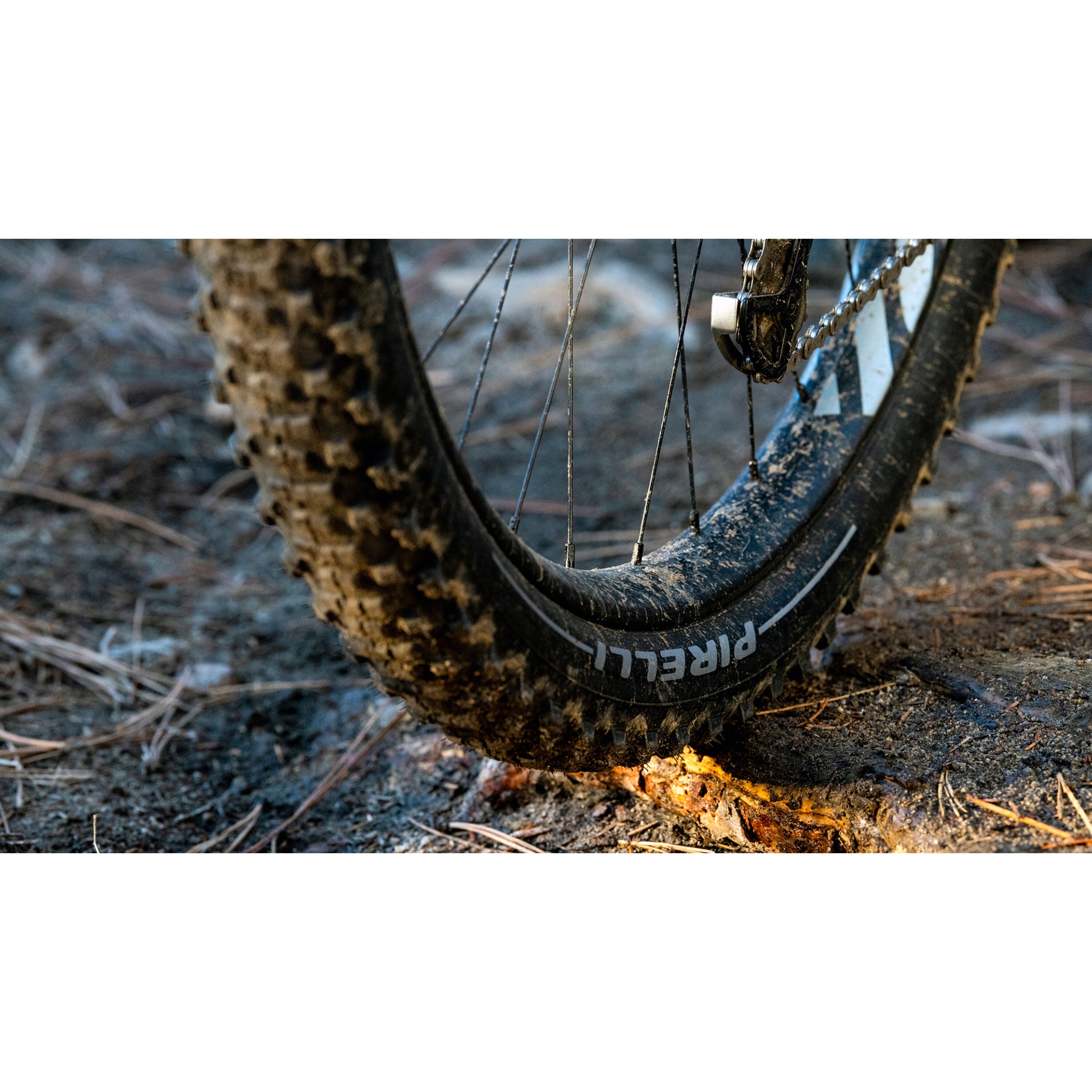 Pirelli Scorpion XC M 29" tire
