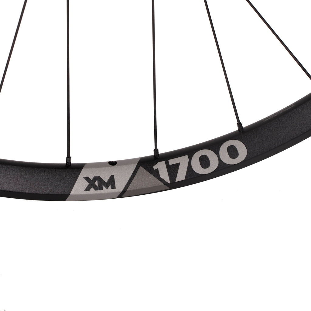 DT Swiss XM 1700 Spline 30 29" Boost Tubeless Ready front wheel