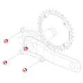 Carbon Ti X-Fix X-Ring EVO chainring fixing bolts