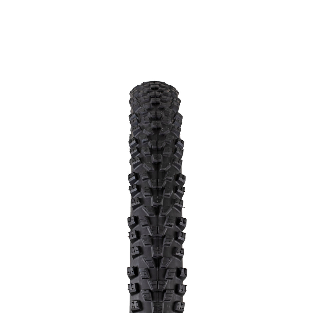 Michelin Force AM2 TL-Ready Competition Line Gum-X 29" tire