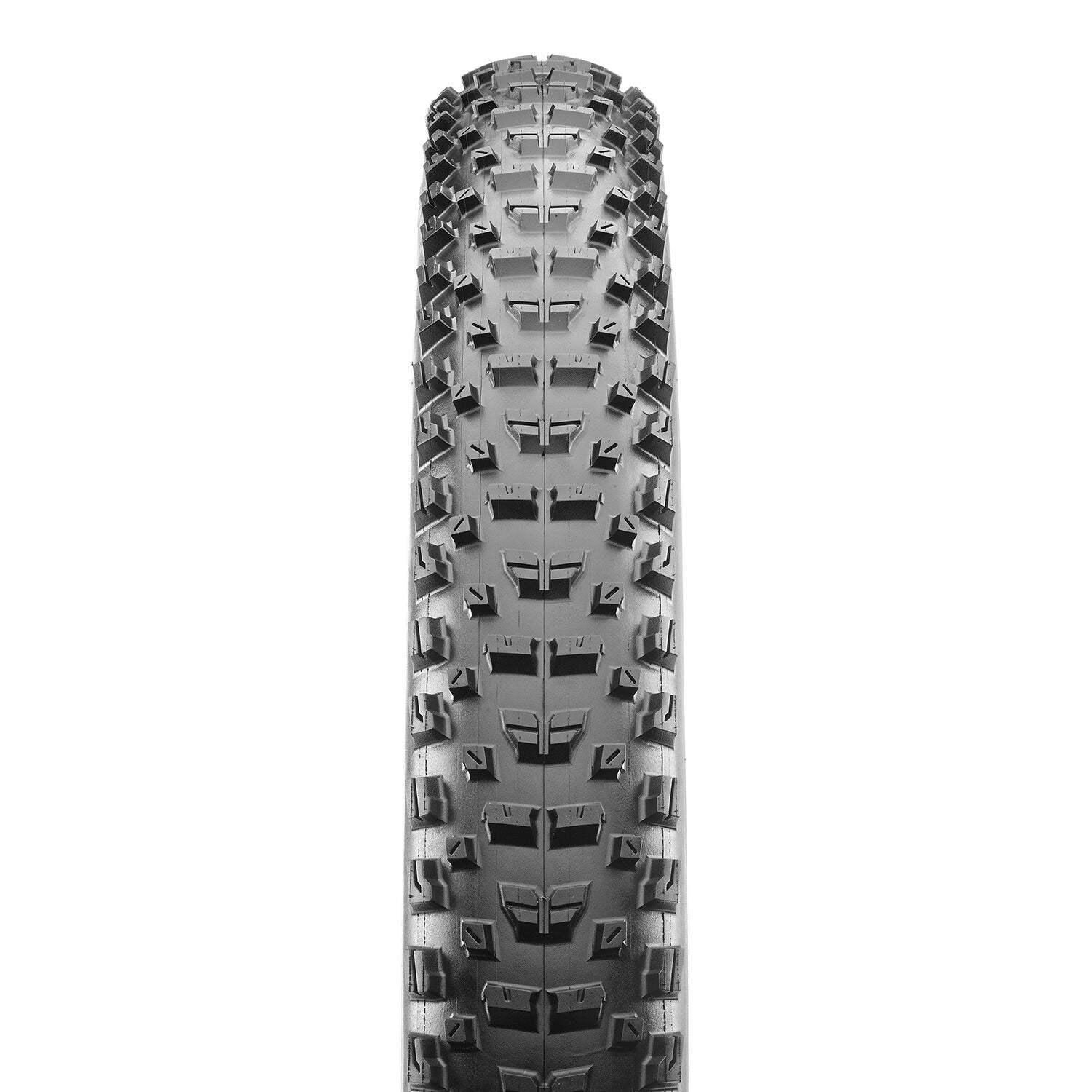 Maxxis Rekon EXO 3C Maxxterra TL-Ready WT 29" tyre