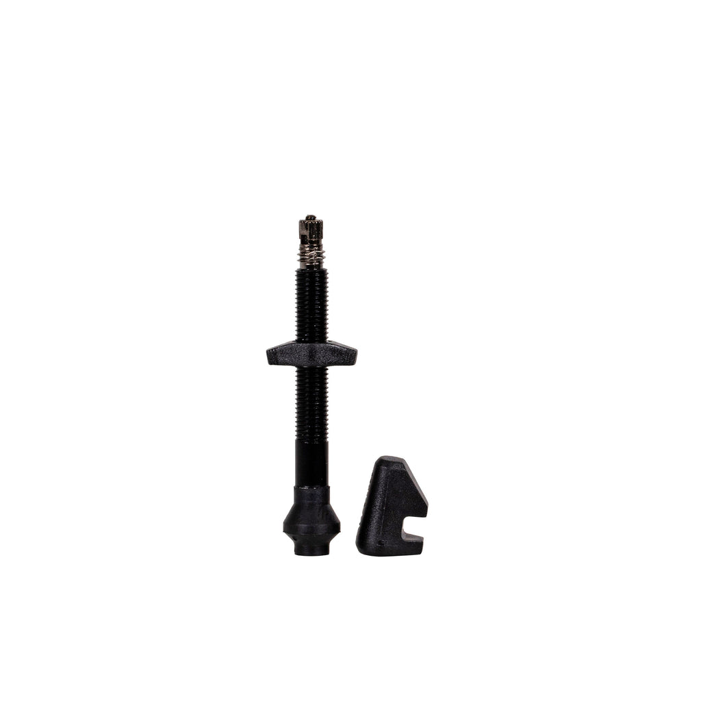 DT Swiss UST Tubeless valve