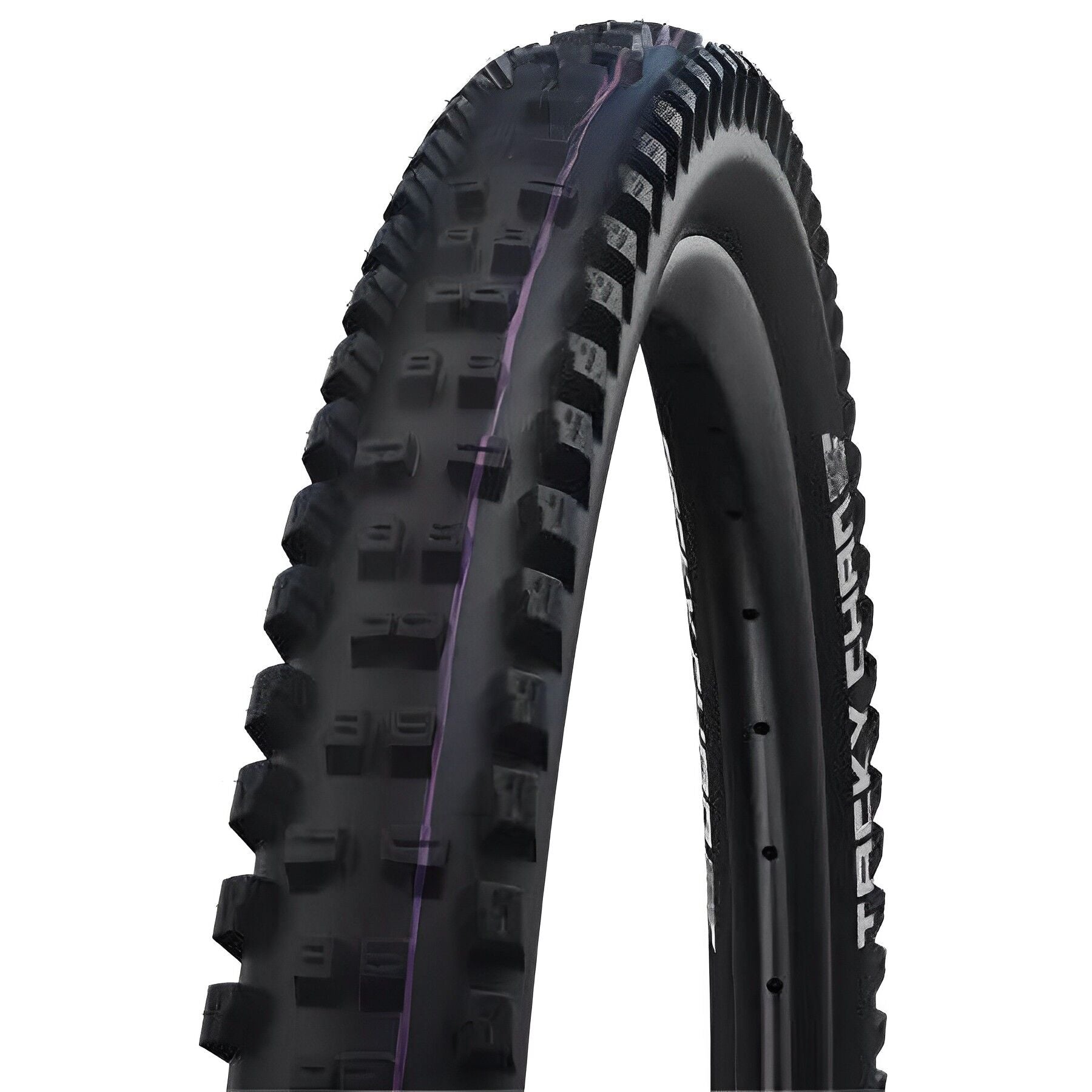 Schwalbe Tacky Chan Evo TL-Easy Super Trail Addix Ultra Soft 29 tire