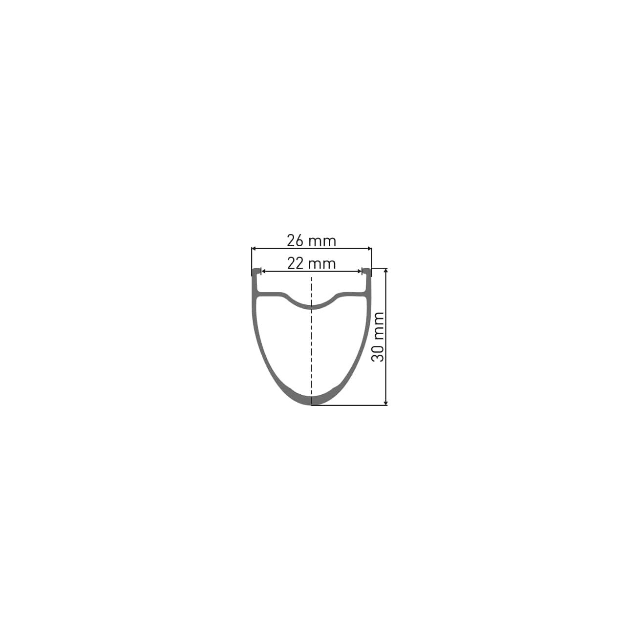DT Swiss E 1800 Spline 30 Disc front wheel