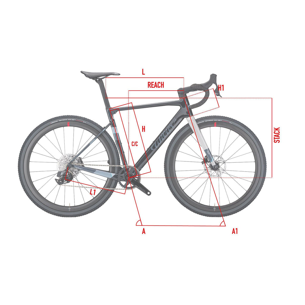Wilier Triestina Rave SL Gravel Setup Campagnolo Ekar GT  + Miche Graff Allroad 2025