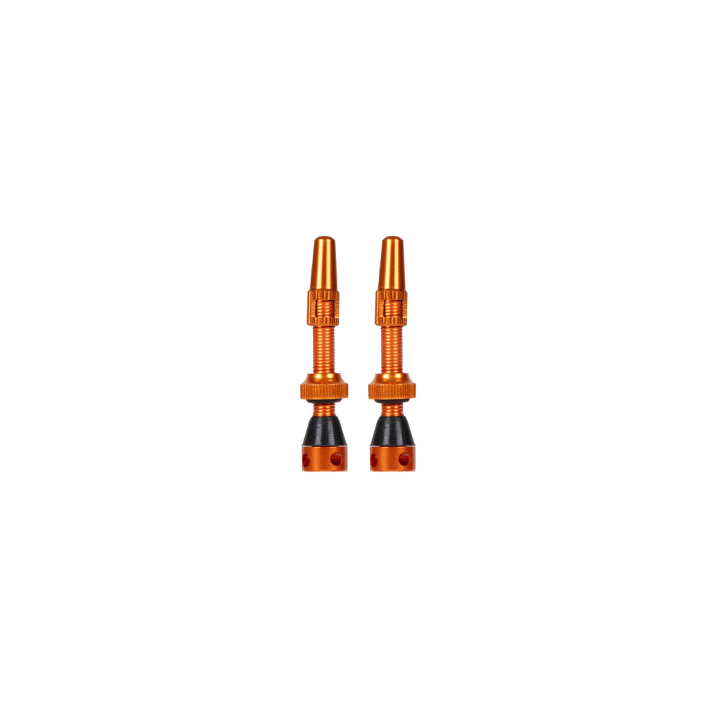 Grade V2 Presta Tubeless valve kit
