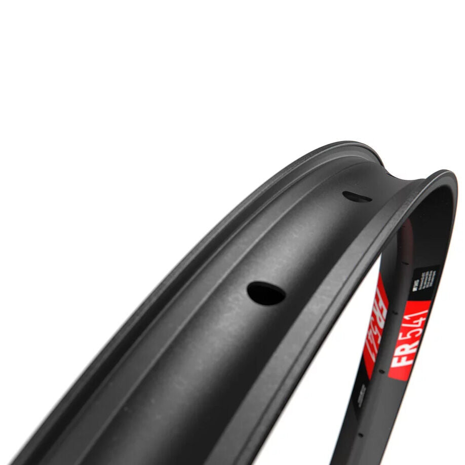 DT Swiss FR 541 29" rim 30 mm