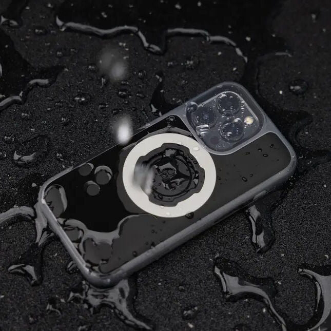 Quad Lock Original case