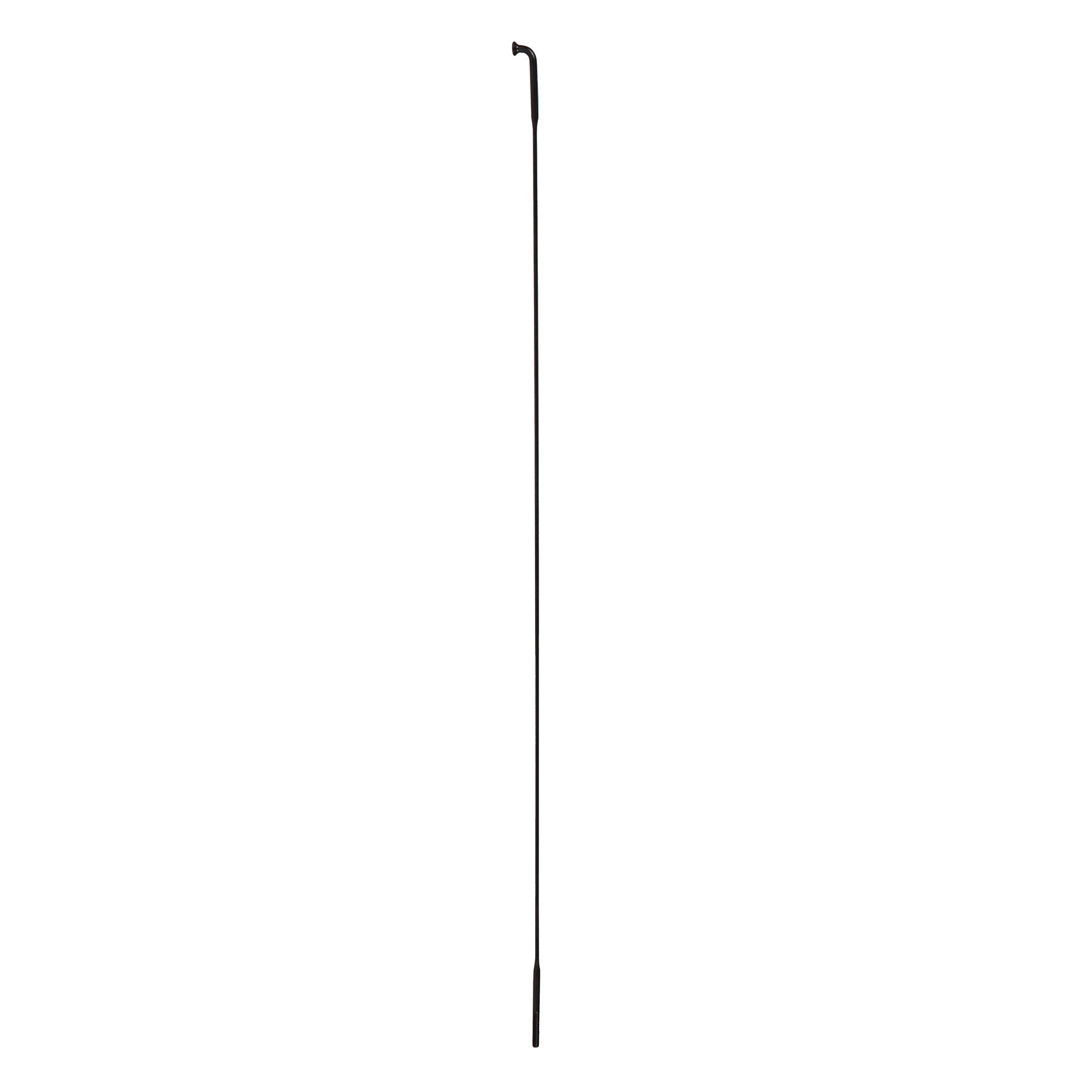Zipp Cxray J Bend spoke + nipple
