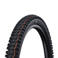 Schwalbe Albert Gravity Pro TL-Easy Addix Soft tyre