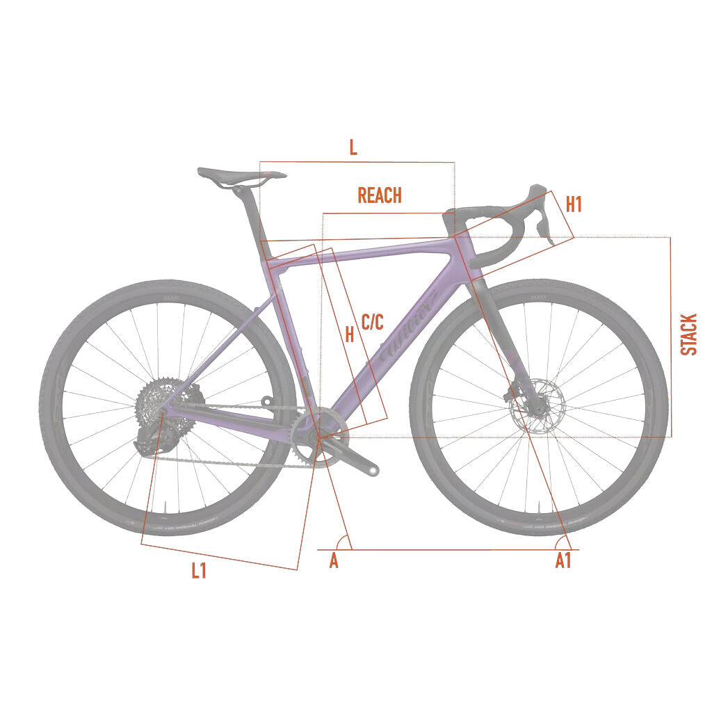 Wilier Triestina Rave SLR Gravel Setup Shimano GRX DI2 + Miche Graff Aero  2025
