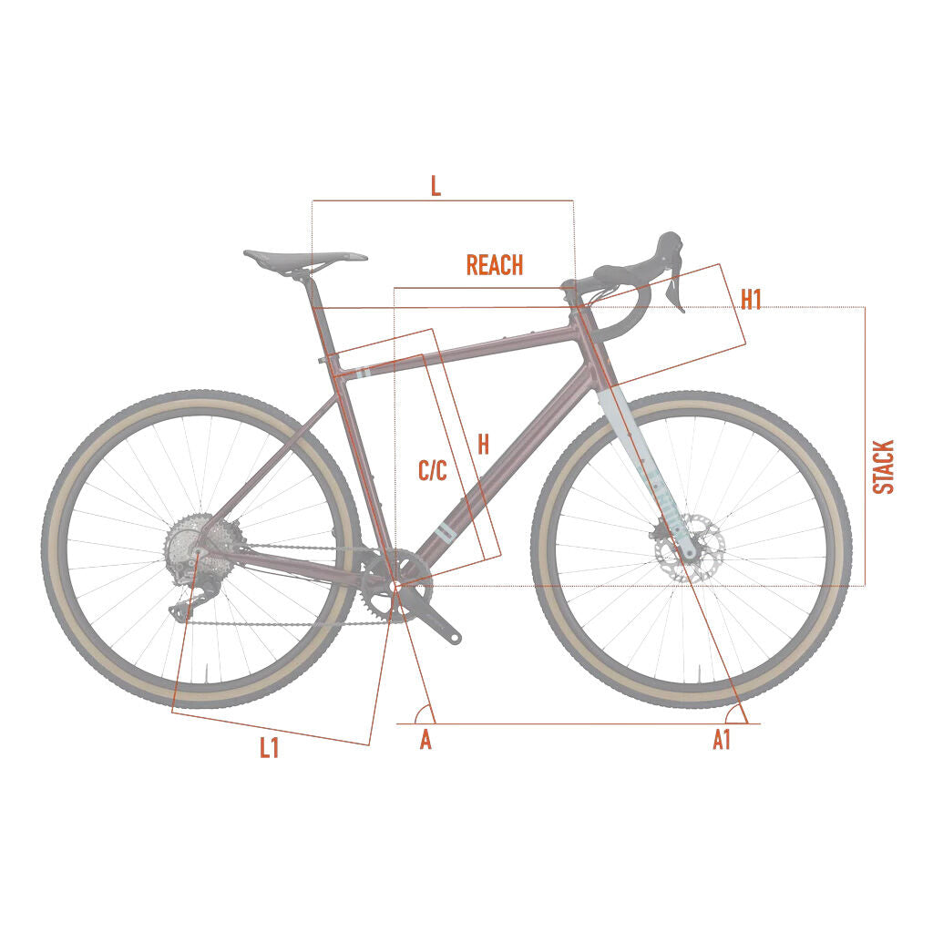 Wilier Triestina Jaroon Shimano GRX 2x10 + WTB Light