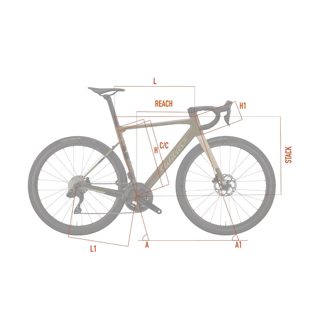 Wilier Triestina Rave Sl (road setup) Shimano Ultegra DI2 R8170 + Miche Swr 40 2026