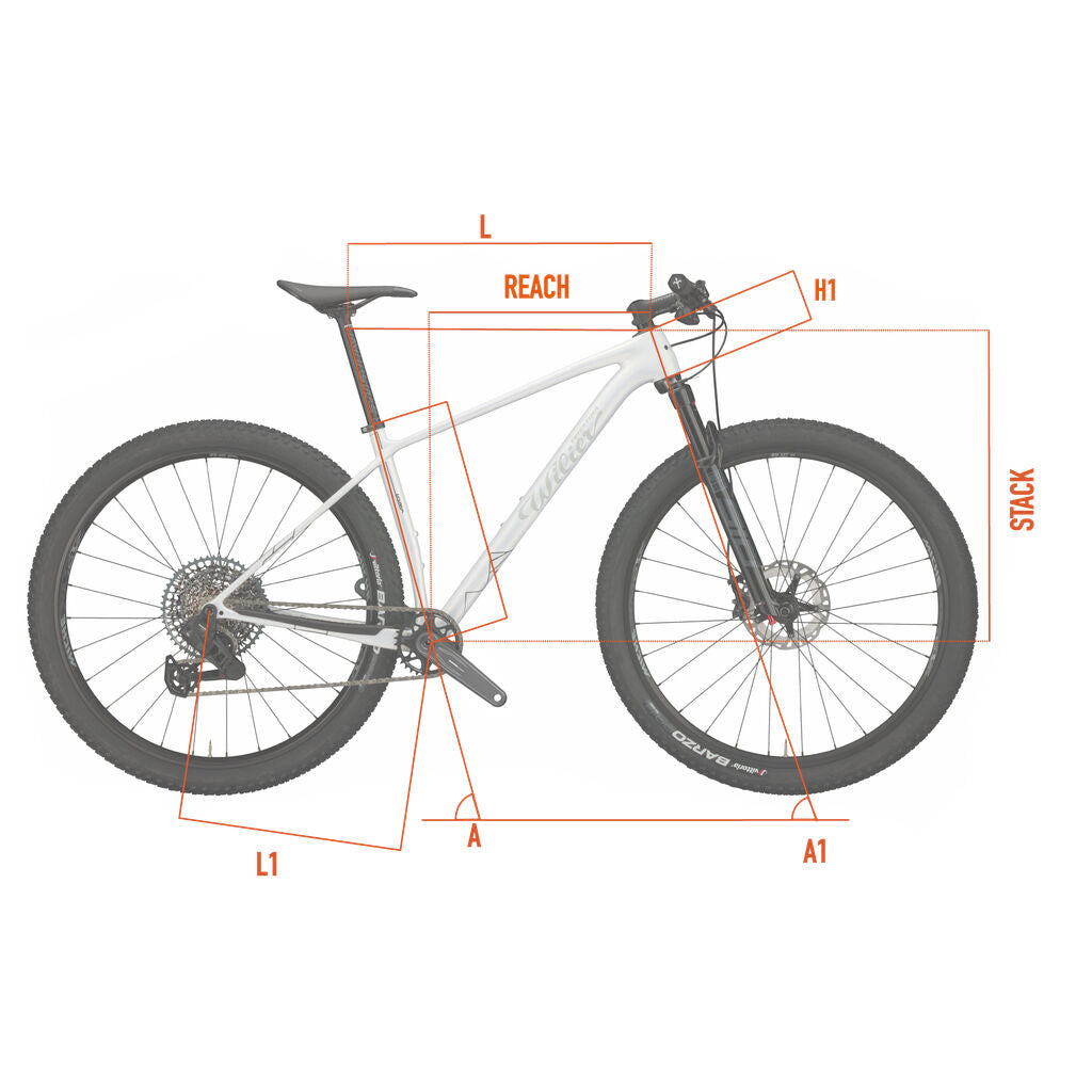 Wilier Triestina Usma SL Sram S-1000 AXS T-Type 12V + Miche XM45 + Rock Shox Sid BSE SL