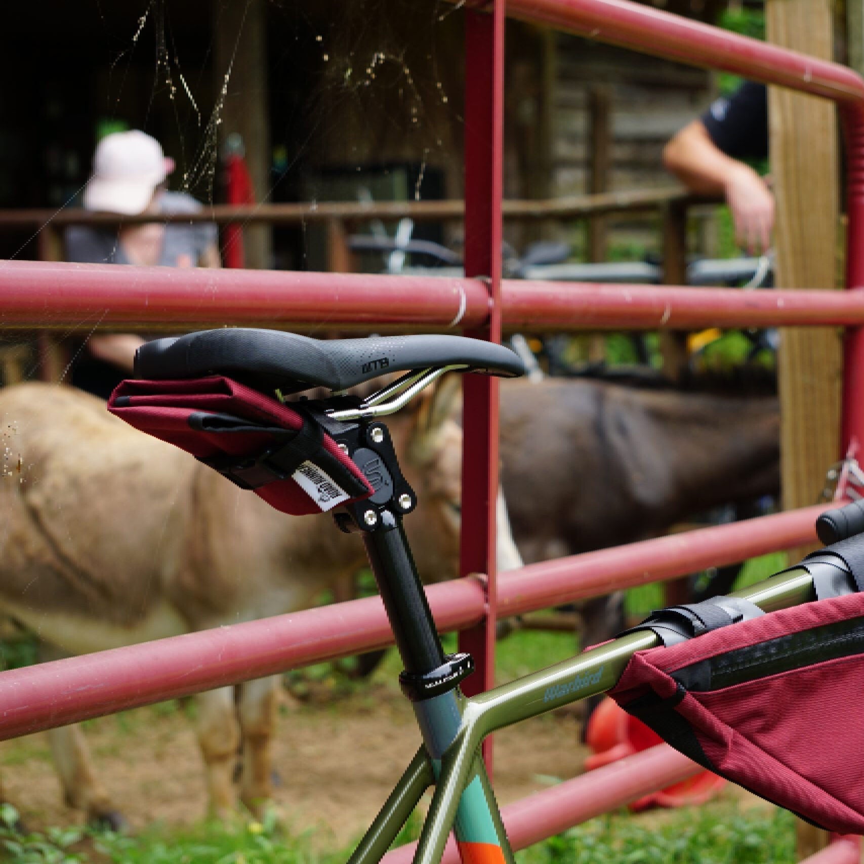 Cane Creek eeSilk+ Carbon suspension seatpost
