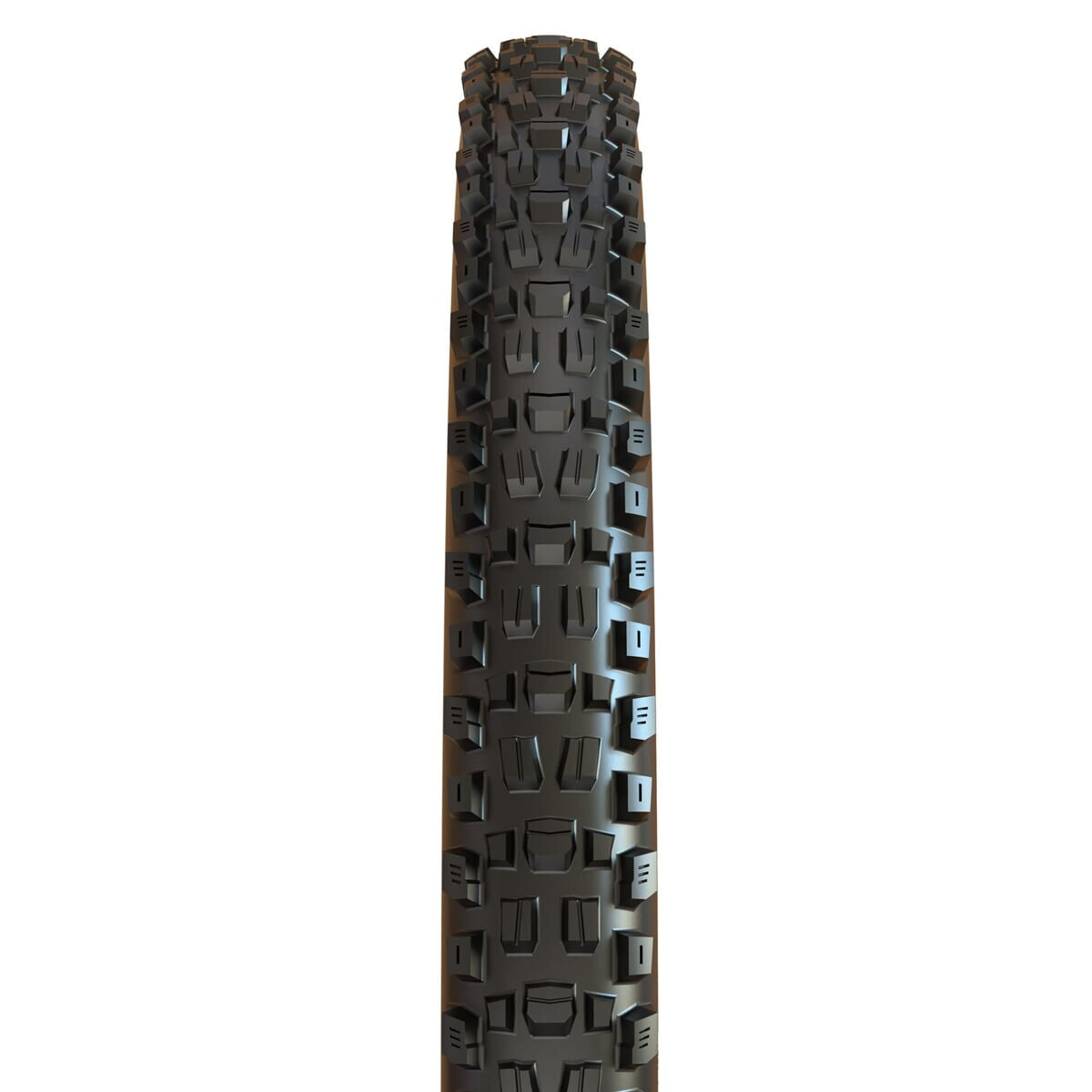 Maxxis Assegai TL-Ready Exo dual compound Tanwall WT 29" tyre
