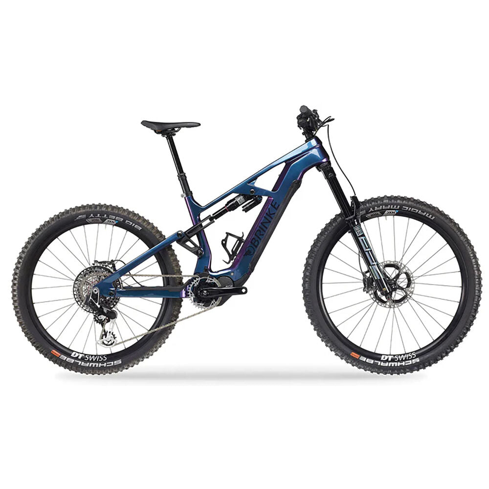Brinke XXR Carbon Race bike