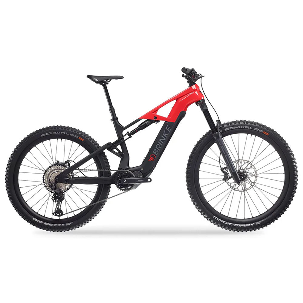 Brinke XXR Carbon bike