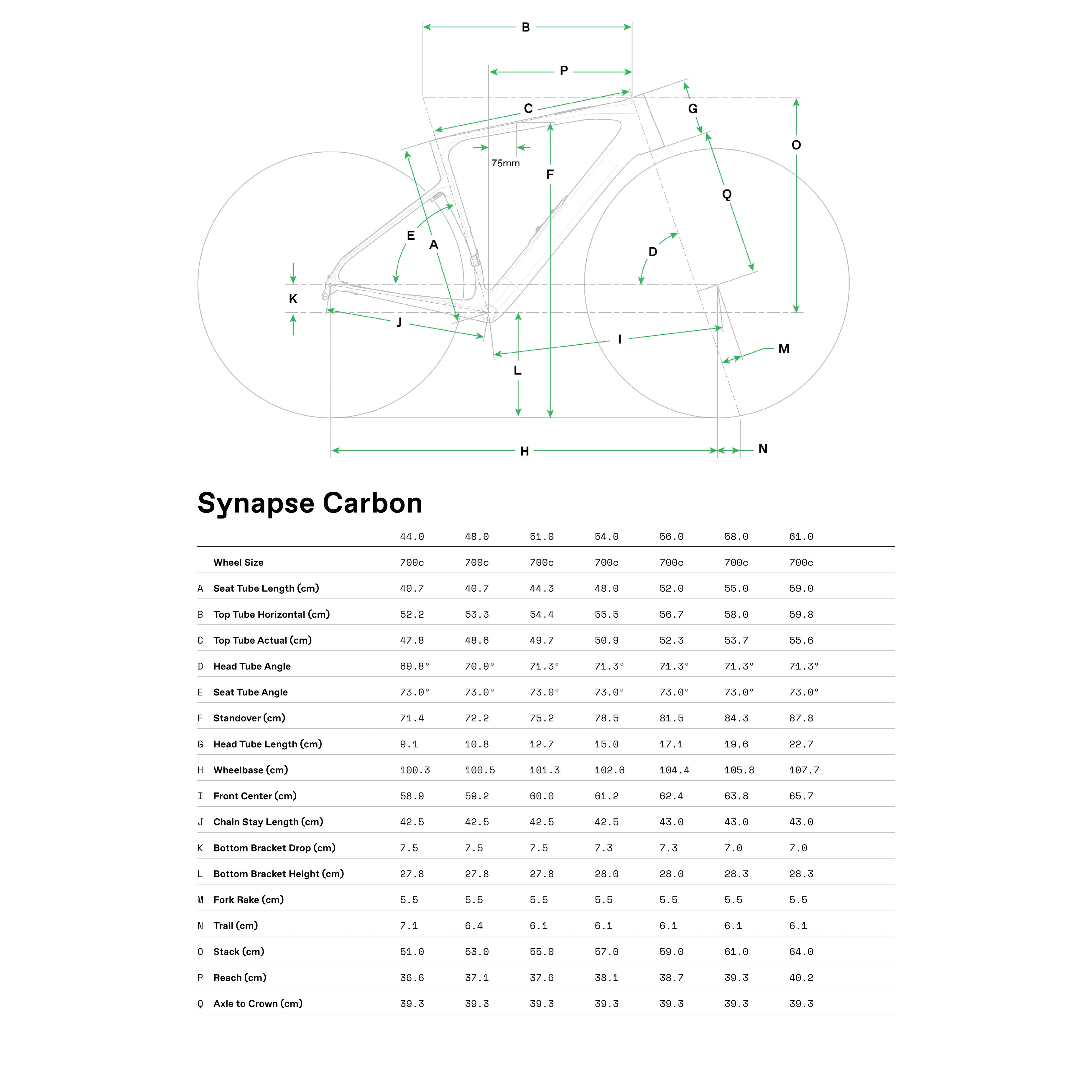 Cannondale Synapse Carbon 5