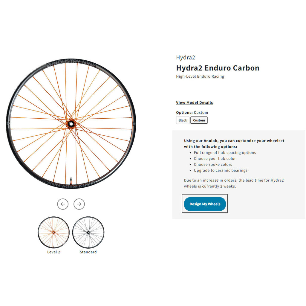 Industry Nine Enduro Hydra2 Custom Wheels