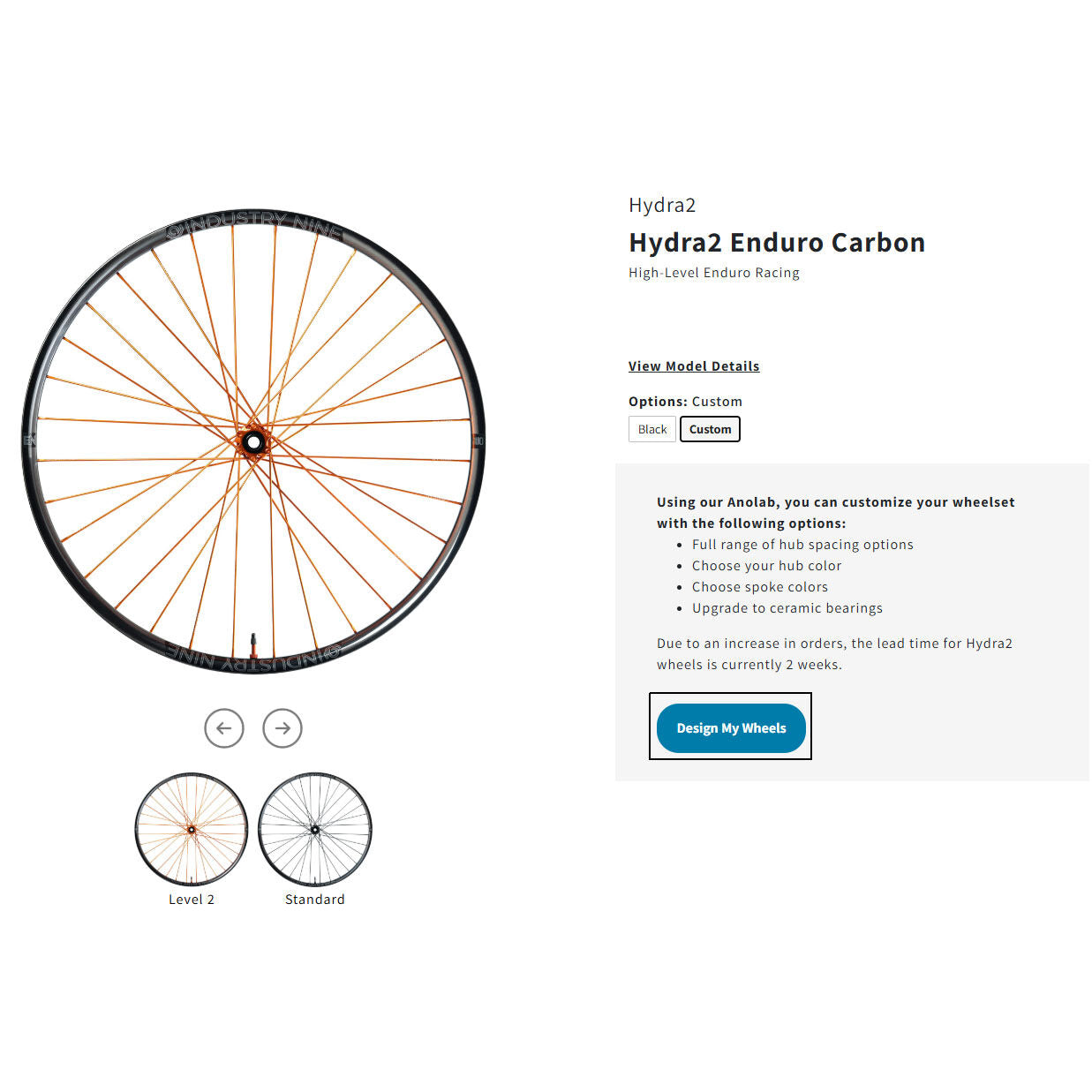 Industry Nine Dh-s Hydra2 Custom Wheels