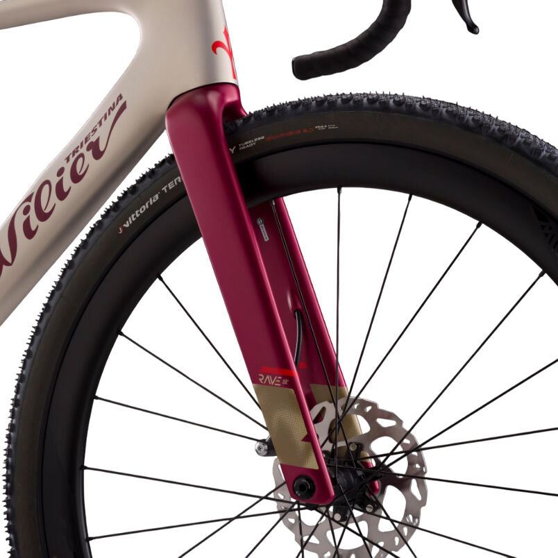 Wilier Triestina Rave Slr ID2 Grx Di2 + Miche Graff Aero 48