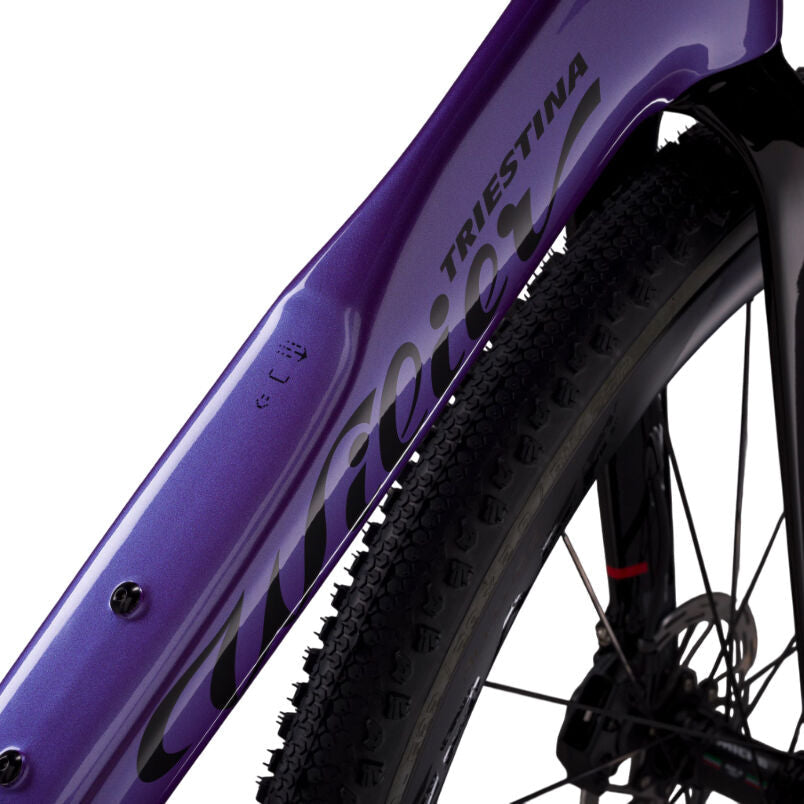 Wilier Triestina Rave Slr ID2 Grx Di2 + Miche Graff Aero 48