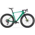 Wilier Triestina Rave SLR ID2 S.Record X 1x13 WRL + Miche Graff Aero 48