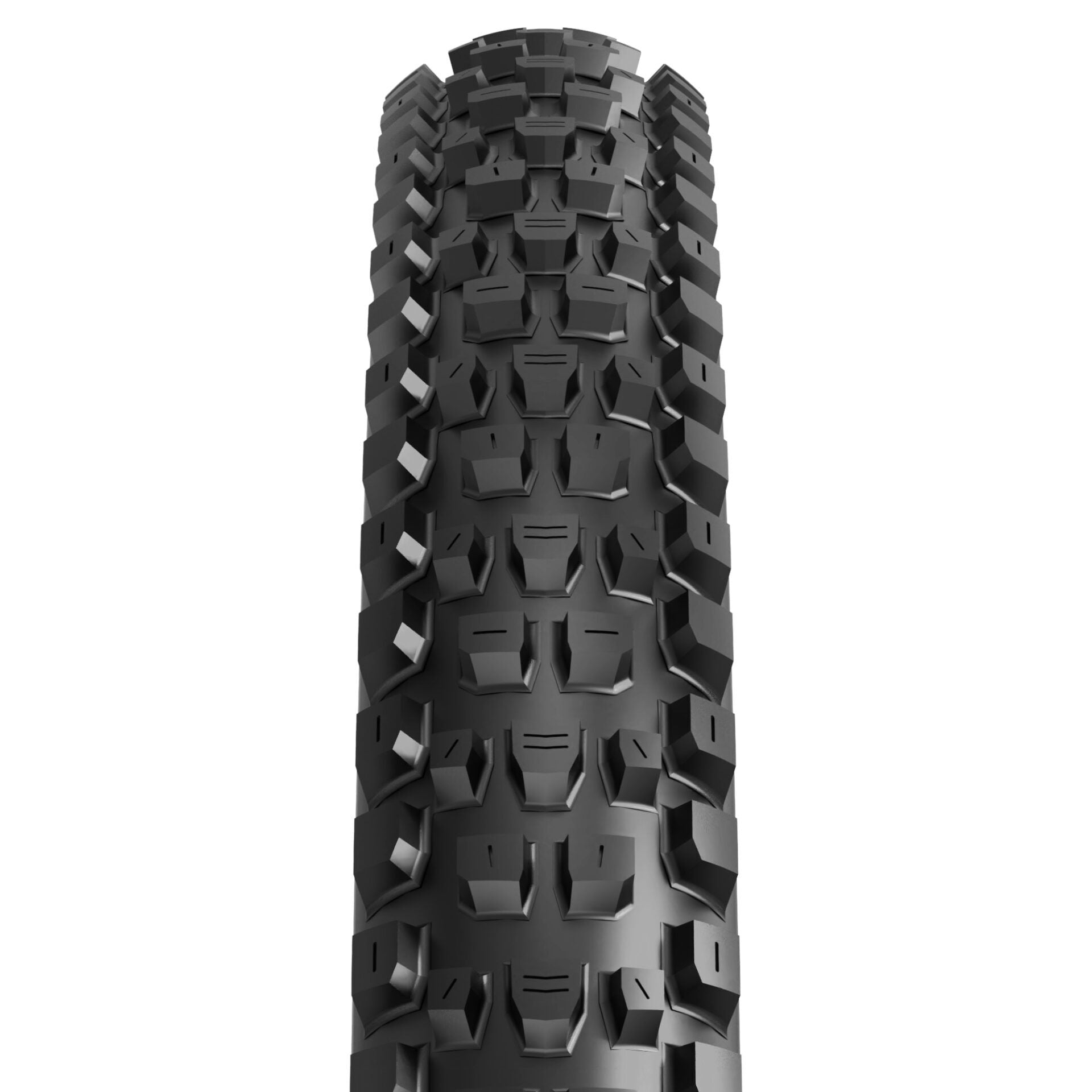 Maxxis Dissector Gen2 Exo TL-Ready 3C Maxx Terra WT tyre