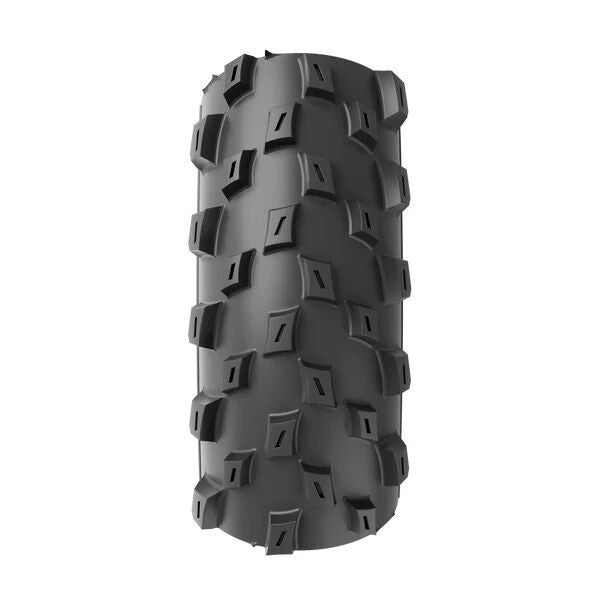 Vittoria Barzo TNT Graphene 2.0 4C 29" tire
