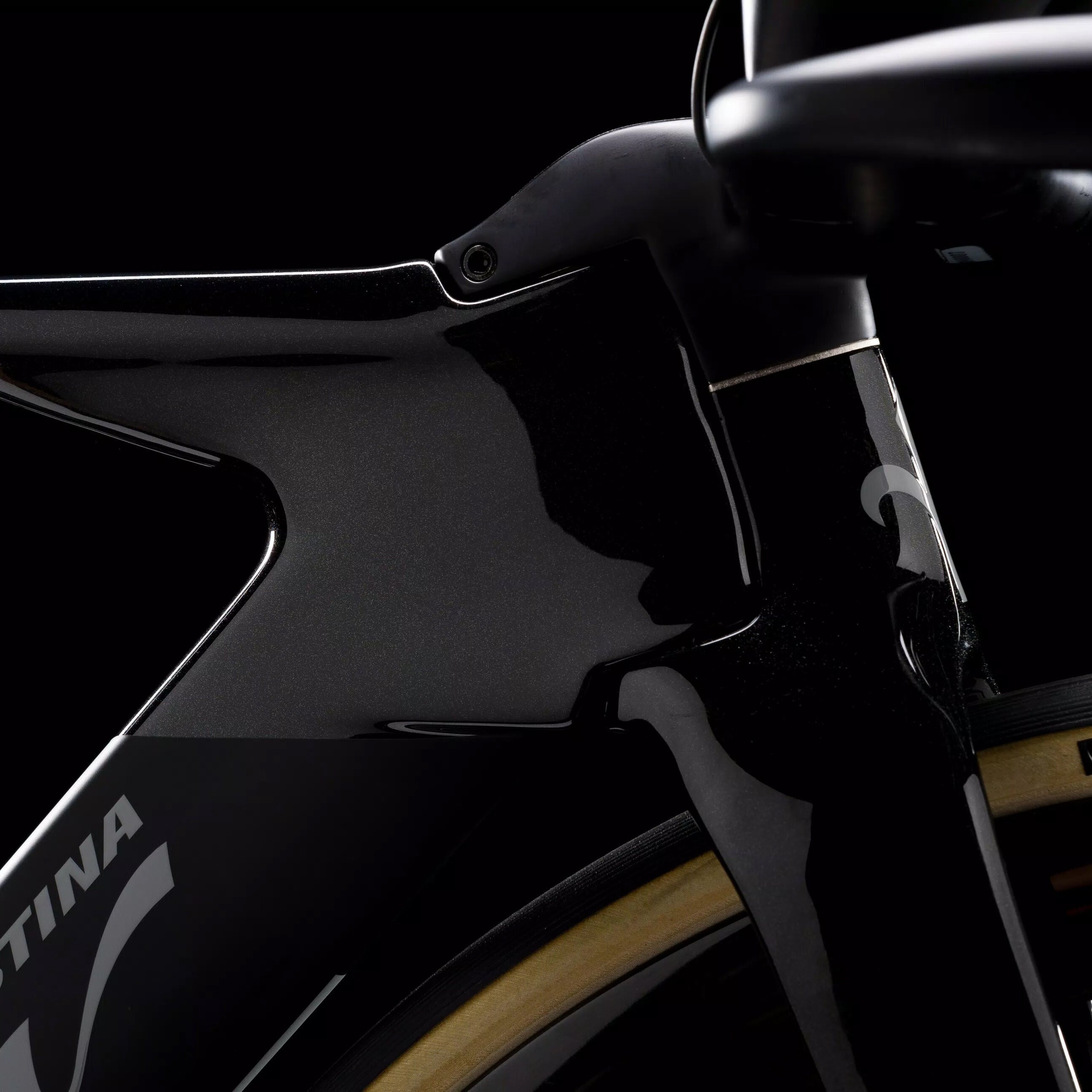 Wilier Triestina Turbine SLR Dura Ace Di2 + Miche Kleos 67/85 2026