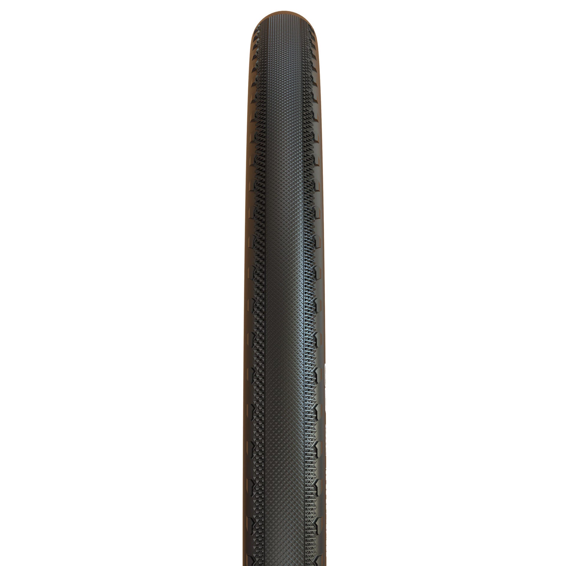 Maxxis Receptor TR Dual tyre